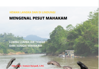 Image of Hewan Langka dan dilindungi : Mengenal Pesut Mahakam