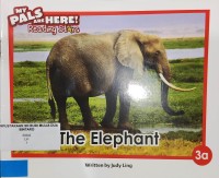 Image of The Elephant